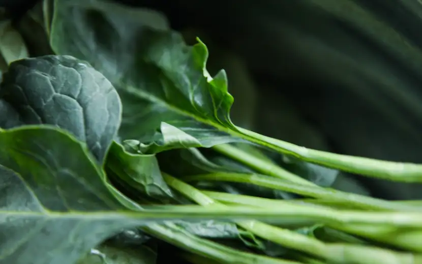 Cambio di stagione: affrontalo con i cibi depurativi. Mazzo di verdure verdi fresche in una ciotola.