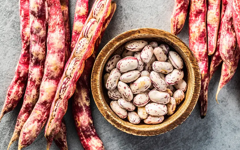 Ferro, fibre e proteine con i fagioli borlotti Orogel: una ciotola di questi nutrienti legumi.