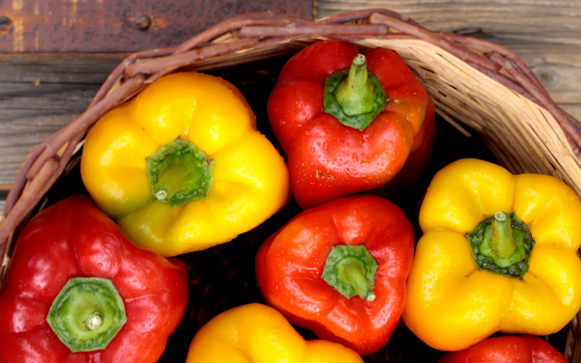 Peperonata Orogel, un classico contorno a base di peperoni freschi, cipolle e pomodori.