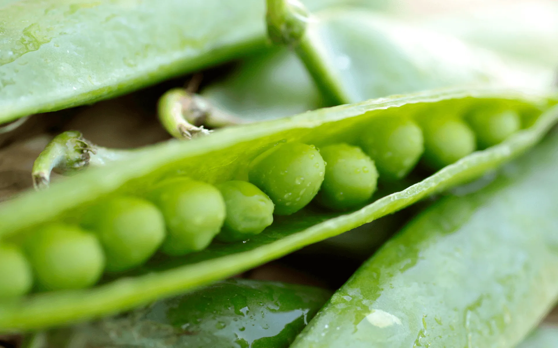 L'immagine mostra dei piselli maturi e freschi aperti in primo piano: Piselli Finissimi surgelati - Orogel Food Service