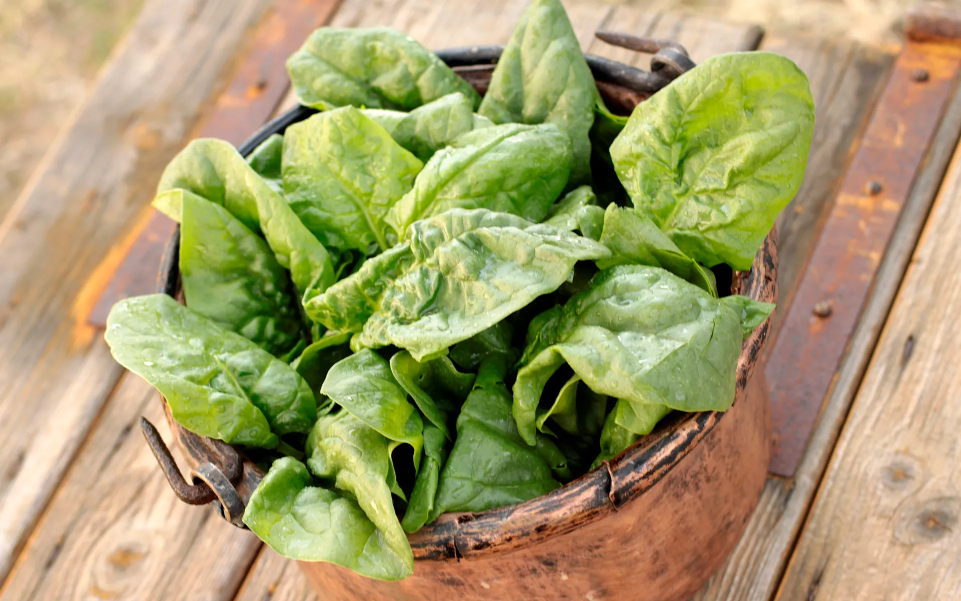 Spinaci Foglia Più Orogel (space), foglie selezionate per un sapore intenso.