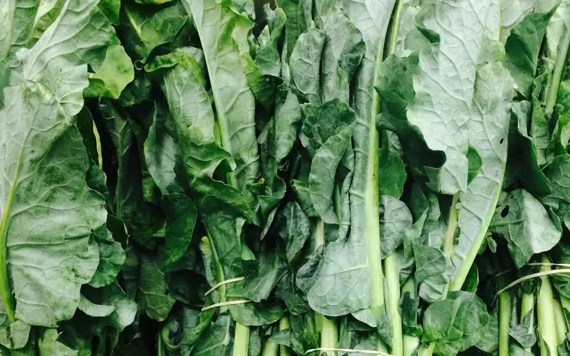 Bieta Orogel: verdura a foglia ricca di virtù. Un mucchio di foglie di bieta fresche.