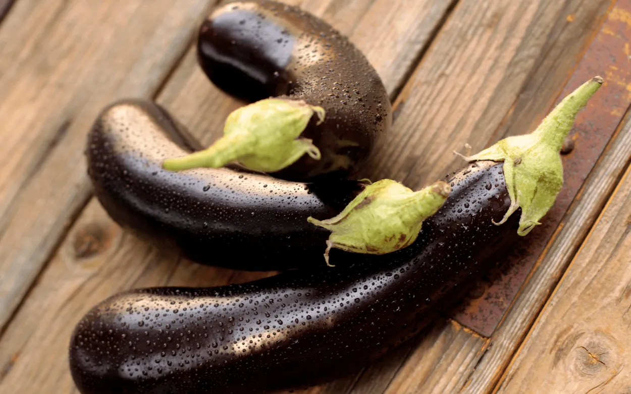  Melanzane Grigliate Orogel, tenere e affumicate, pronte per arricchire i tuoi piatti.