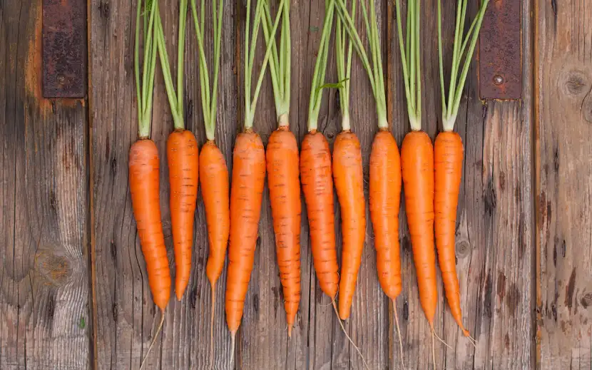 Scopri i benefici del betacarotene e gli alimenti che ne sono più ricchi, con consigli e ricette per una dieta sana ed equilibrata.