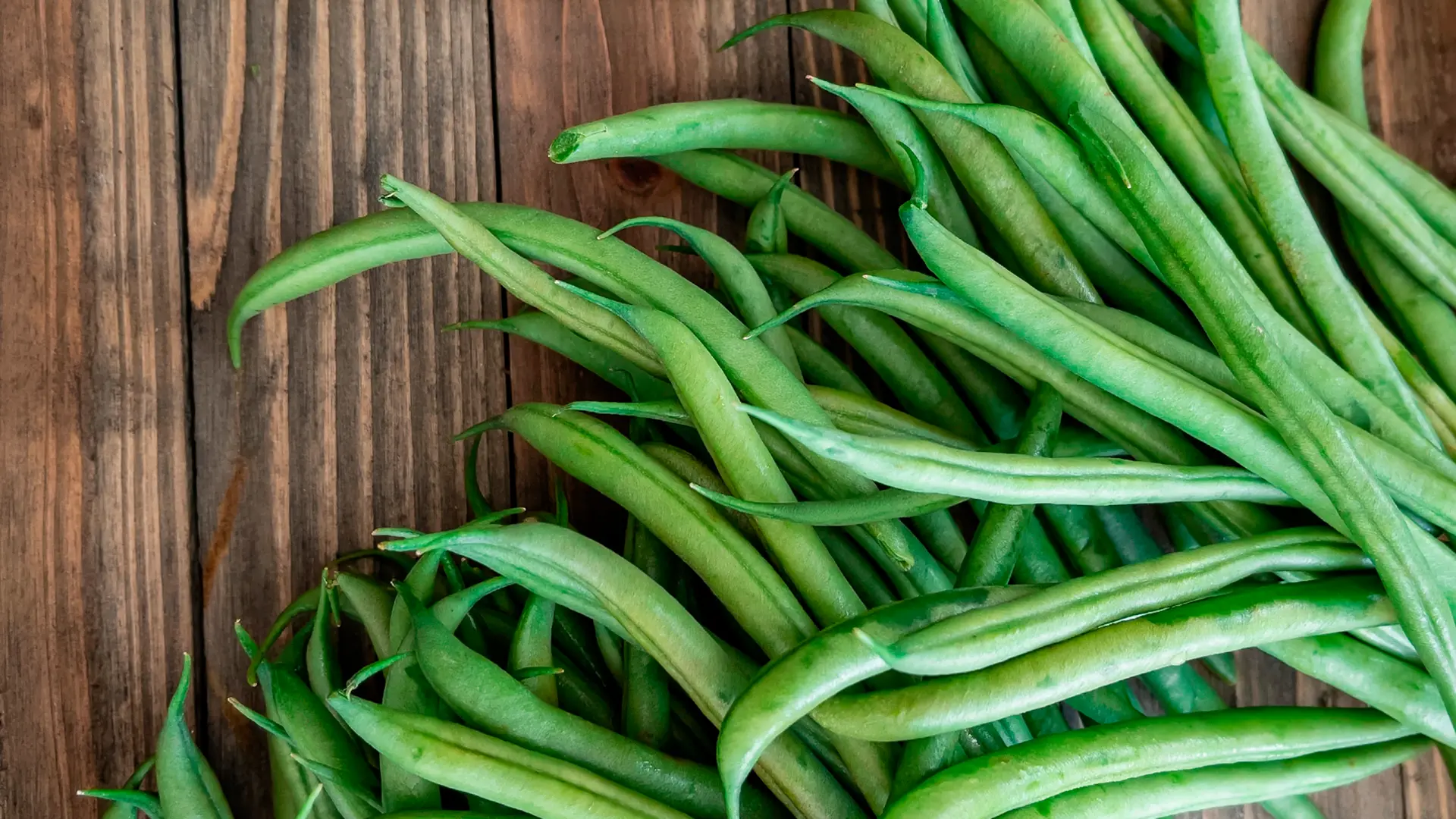 Fagiolini: proprietà, caratteristiche e perché sono così versatili in cucina