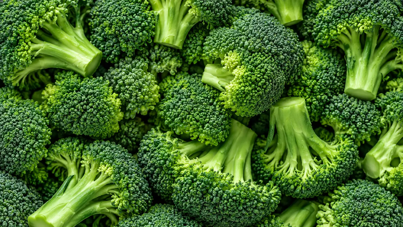 Primo piano di broccoli freschi, con cimette verde intenso e gambi verde chiaro disposti fittamente, fotografati dall’alto.