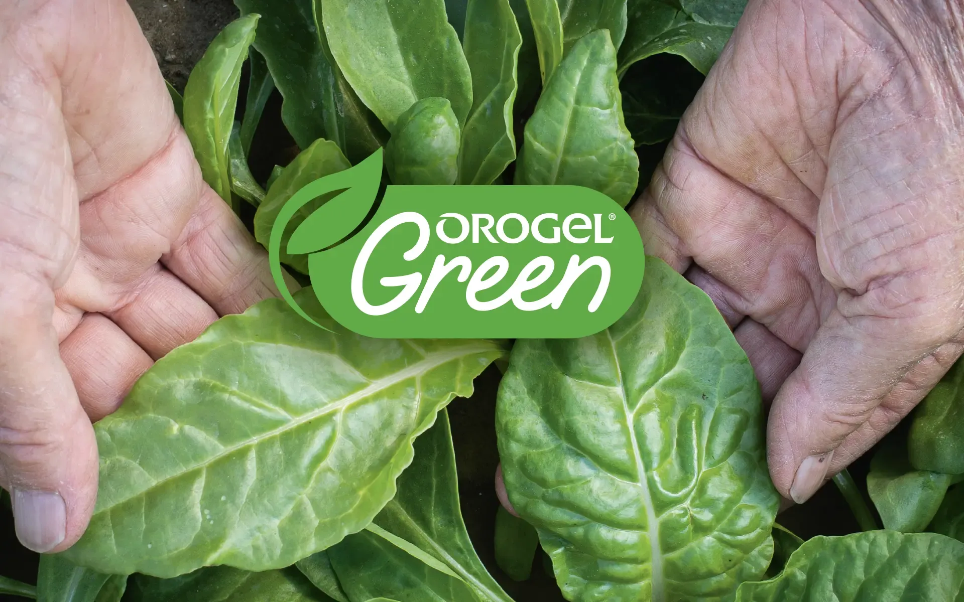 L'impegno di Orogel per la sostenibilità.