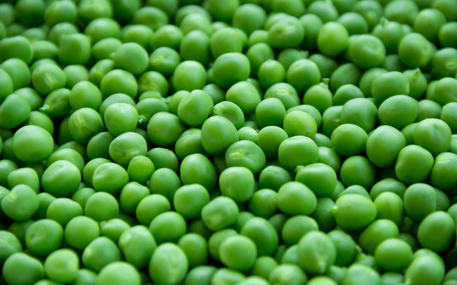 Piselli Orogel, dolci, teneri e ricchi di nutrienti, un ingrediente versatile e salutare.